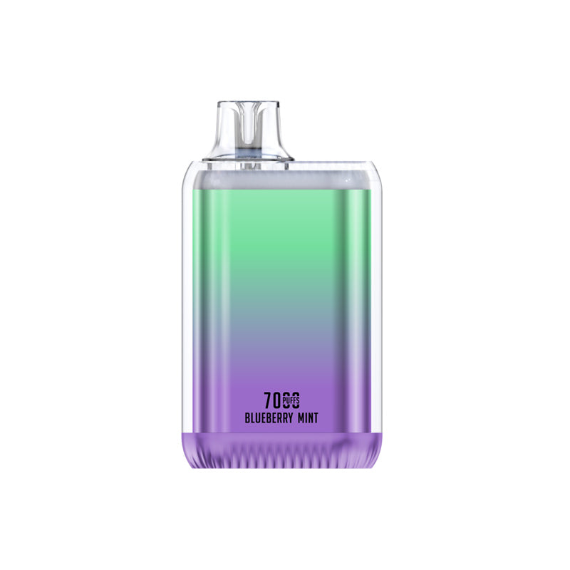 Vapevol disposable kit 10000 puffs OEM